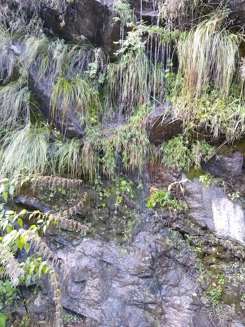 Gushaini, Market - Gushaini, Market Unnamed Road, Pekhri, Himachal Pradesh 175123, India
