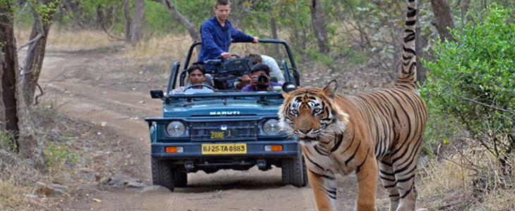 Dhikala Forest Rest House - Dhikala Forest Rest House Ram Nagar, Shivlalpur Pandey, Ramnagar, Uttarakhand 246142, India