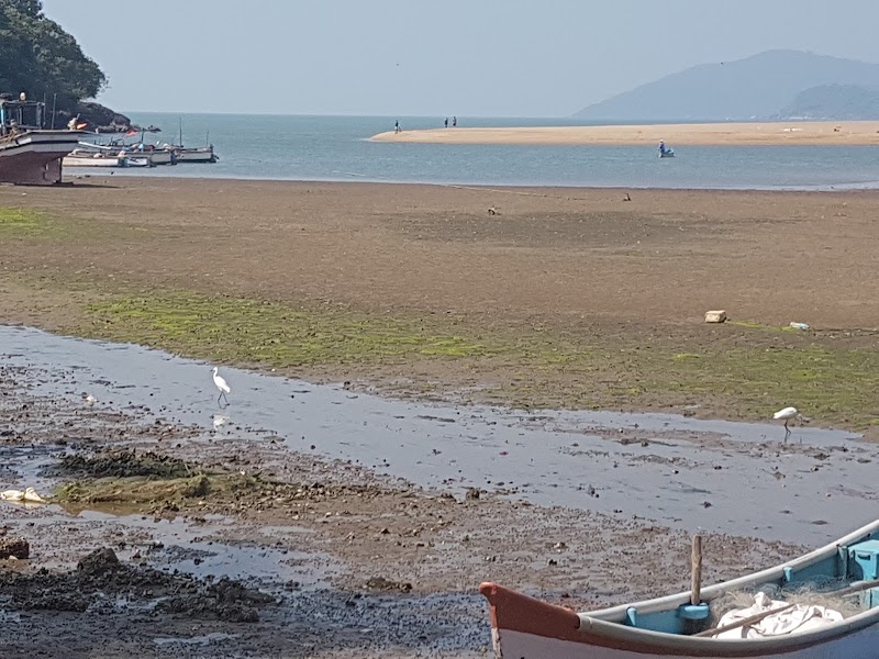 Talpona - Talpona Talpona, Goa 403702