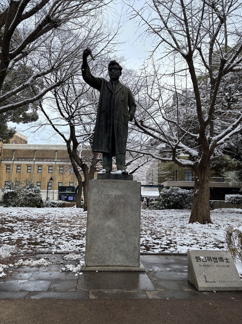 Statue of Saigō, Ueno Park - Statue of Saigō, Ueno Park 7-chōme-7-7 Uenokōen, Taito City, Tokyo 110-0007, Japan