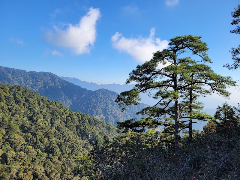 鳶嘴山 - 鳶嘴山, 424, Taiwan, 臺中市和平區鳶嘴山