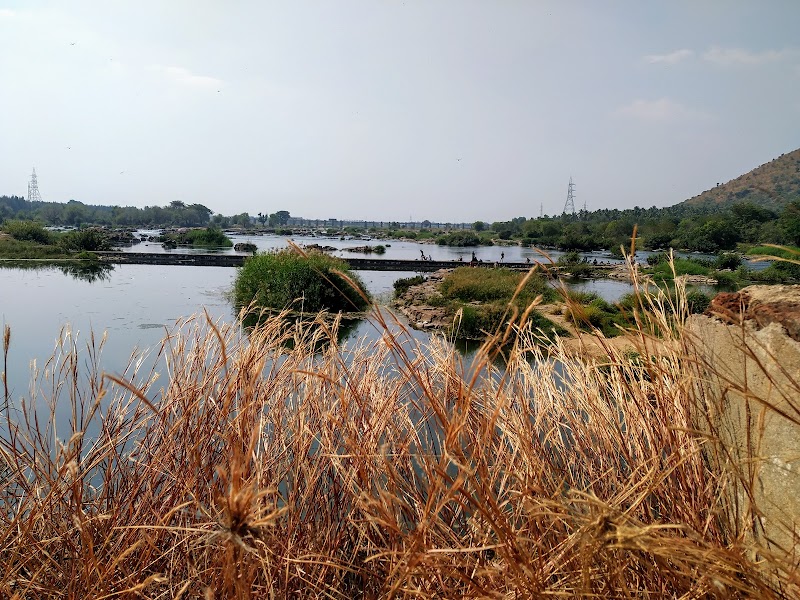 Cauvery Split Katte - Cauvery Split Katte, 571440, Cauvery River Road, Attur Forest, Sathegala, Karnataka 571440, India