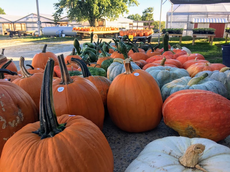Strawberry Hill Farms - Strawberry Hill Farms 3770 E Missouri 163, Columbia, MO 65201, USA