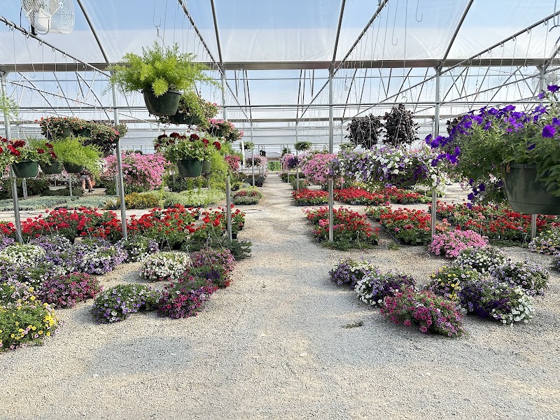 Strawberry Hill Farms - Strawberry Hill Farms 3770 E Missouri 163, Columbia, MO 65201, USA