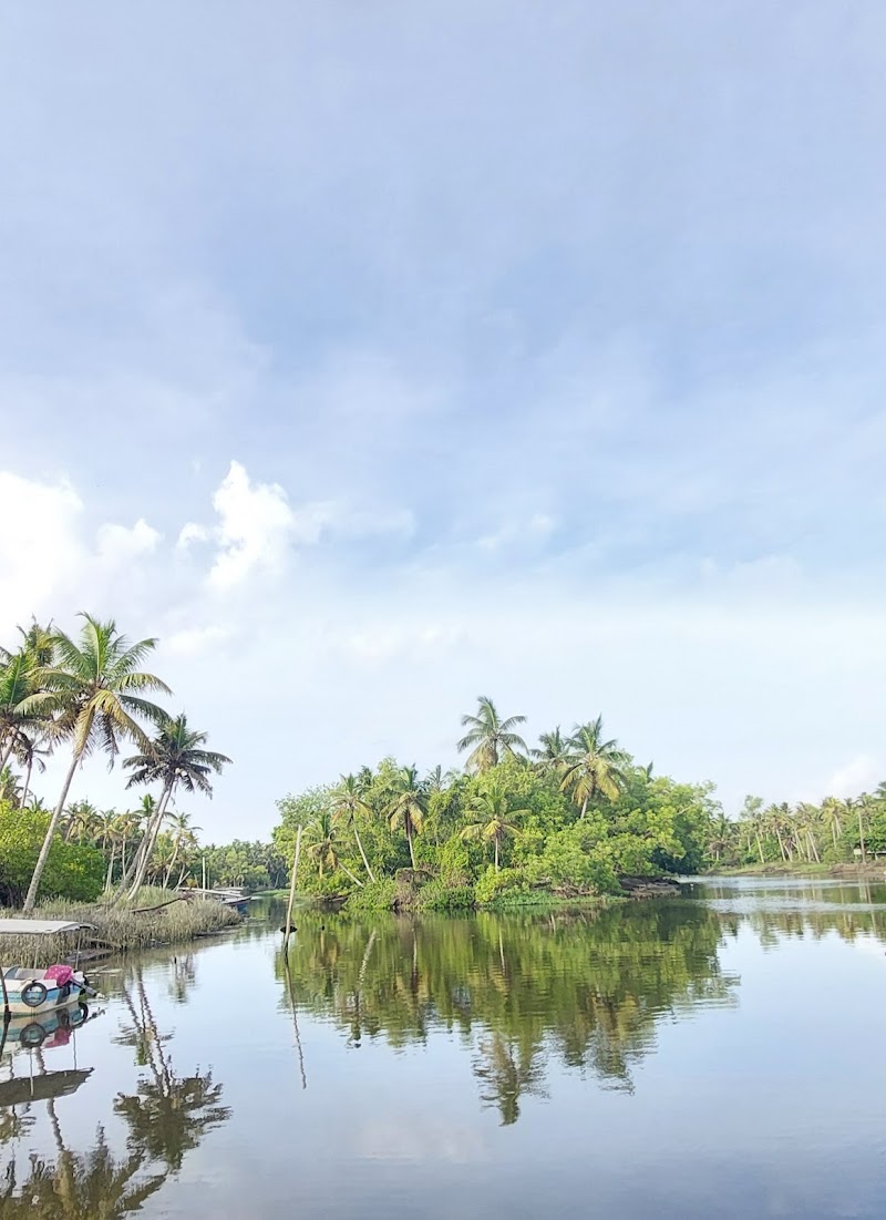 Poovar backwater - Poovar backwater backwater,Boating Club, near Rto Check Post, Poovar, Kulathoor, Kerala 695525, India