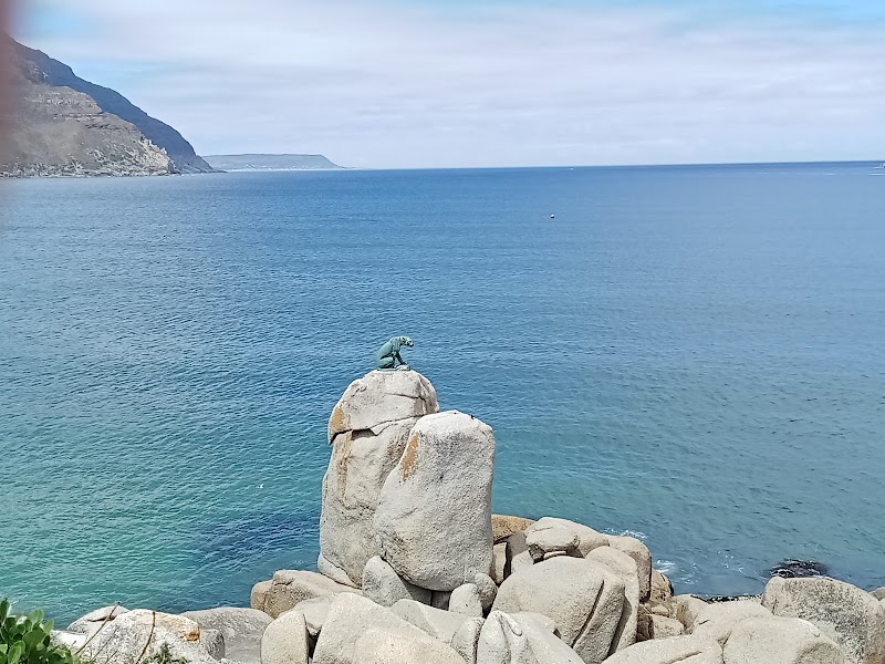 Chapman's Peak Drive Lookout Point - Chapman's Peak Drive Lookout Point, Hout Bay, Cape Town, South Africa