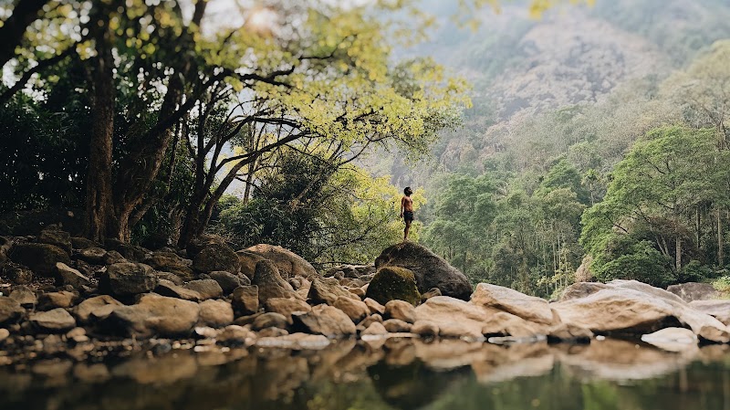 Pullumala Water Fall - Pullumala Water Fall 23P4+M4Q, Idukki Twp, Keralam 685565, India