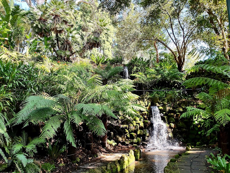 Royal Botanic Gardens Victoria - Melbourne Gardens - Royal Botanic Gardens Victoria - Melbourne Gardens, Melbourne VIC 3004, Australia
