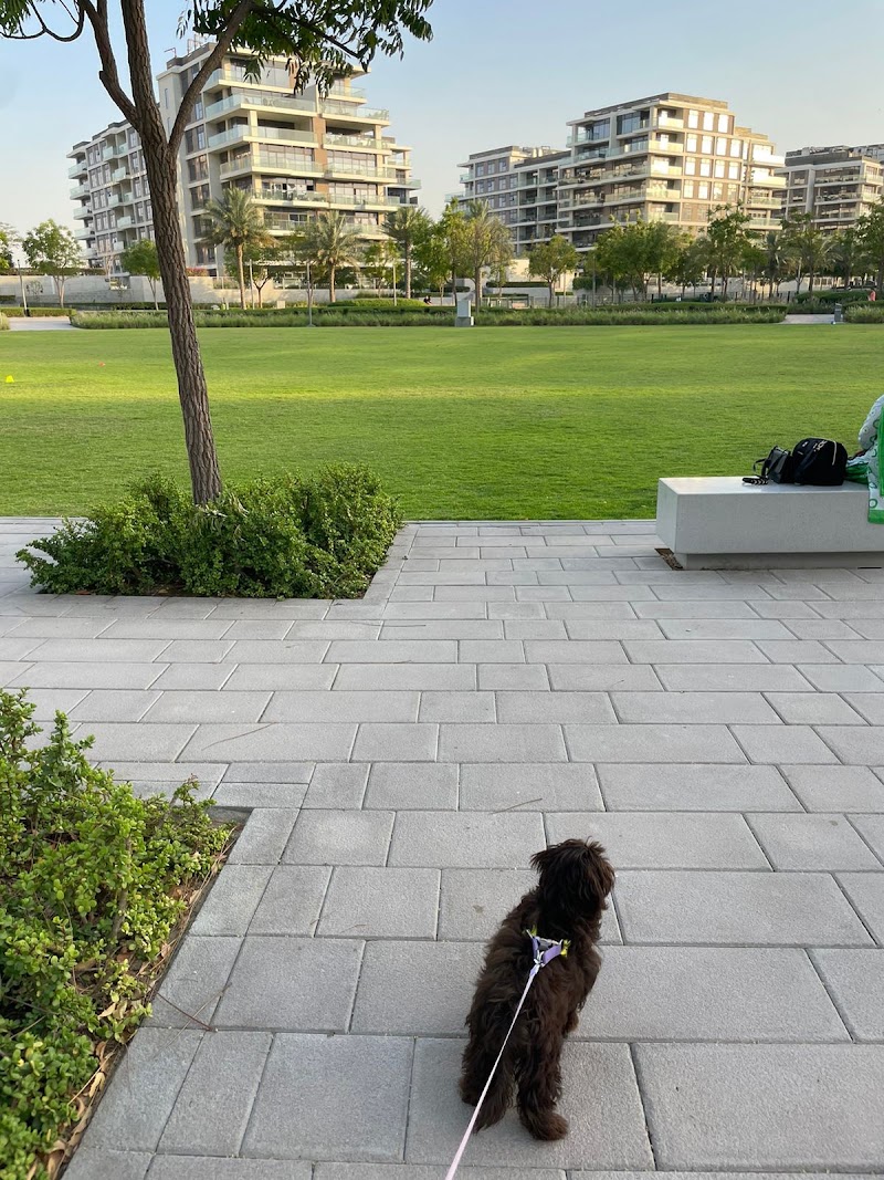 Dog Park - Dubai Hills Estate Park - Dog Park - Dubai Hills Estate Park, Unnamed Road - 466X+455 - حدائق الشيخ محمد بن راشد - دبي - United Arab Emirates