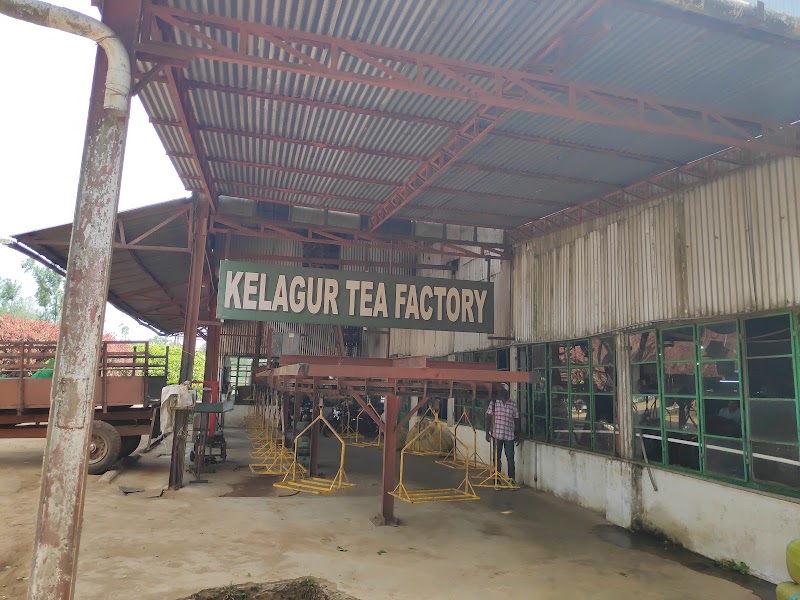 Kelagur Tea Factory - Kelagur Tea Factory, 5F27+H5R, Kelagur, Megur, Karnataka 577122, India