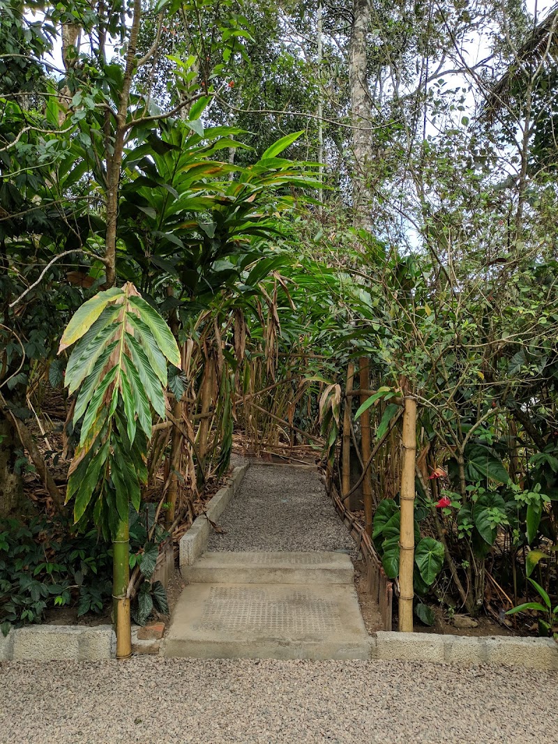 The Spice Farm - Plantation for Spices & Herbs - The Spice Farm - Plantation for Spices & Herbs, Kizhakkethalackal Dairy Farm, Munnar - Kumily Hwy, Thekkady, Kumily, Attappallam, Keralam 685509, India