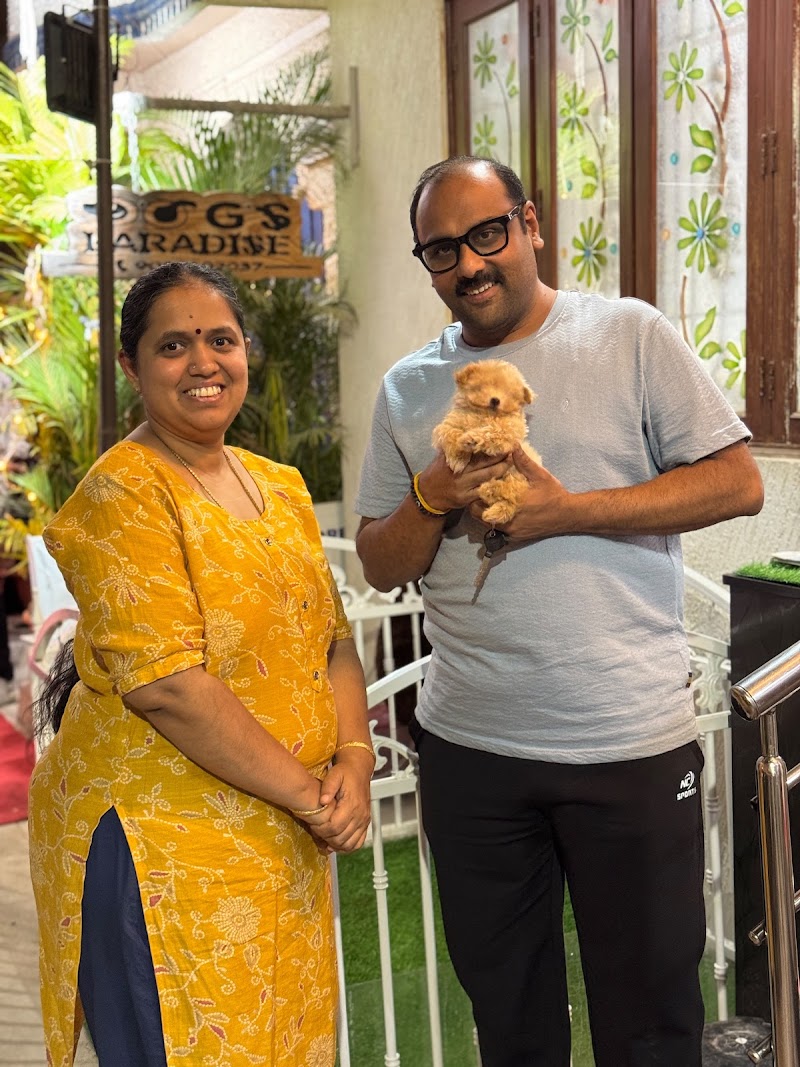 Dogs For Sale Bangalore (Dogs Paradise) - Dogs For Sale Bangalore (Dogs Paradise) 23, 5th Cross, Narayanappa Block, Anjenappa Block, Benson Town, Bengaluru, Karnataka 560046, India