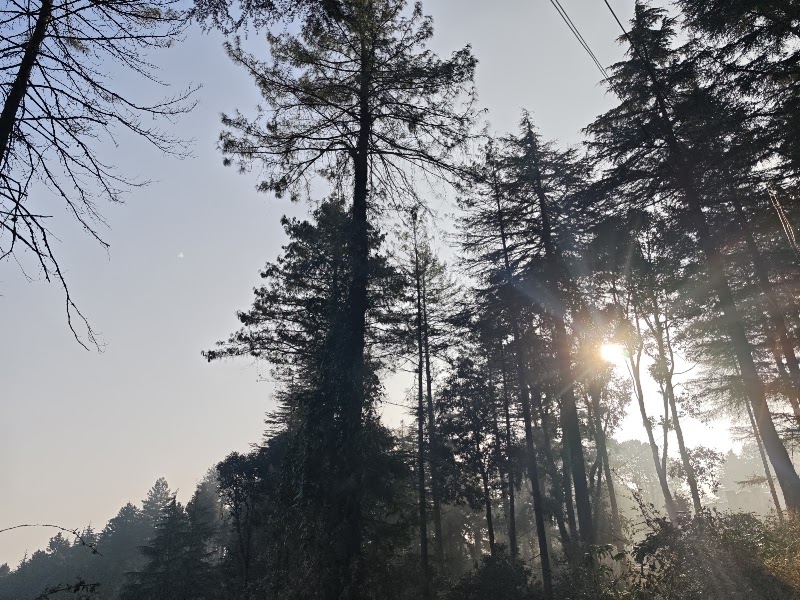Track to Sitla - Track to Sitla, FJGV+MRJ, Mukteshwar Mahadev Rd, Mukteshwar, Uttarakhand 263138, India