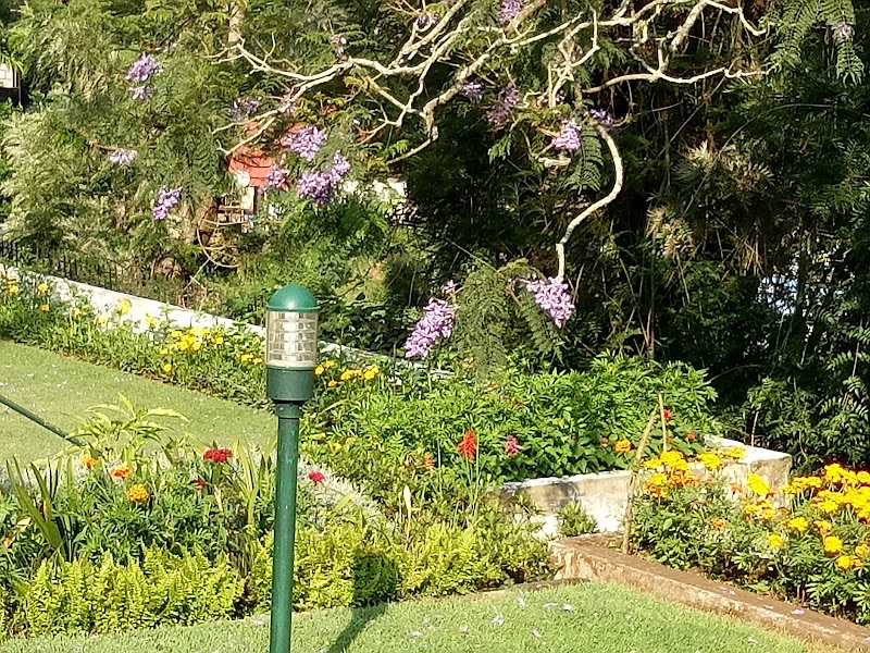 Daffodil Cottages and Resorts - Daffodil Cottages and Resorts 8RX4+WJ7, Alwarpet, Coonoor, Tamil Nadu 643101, India