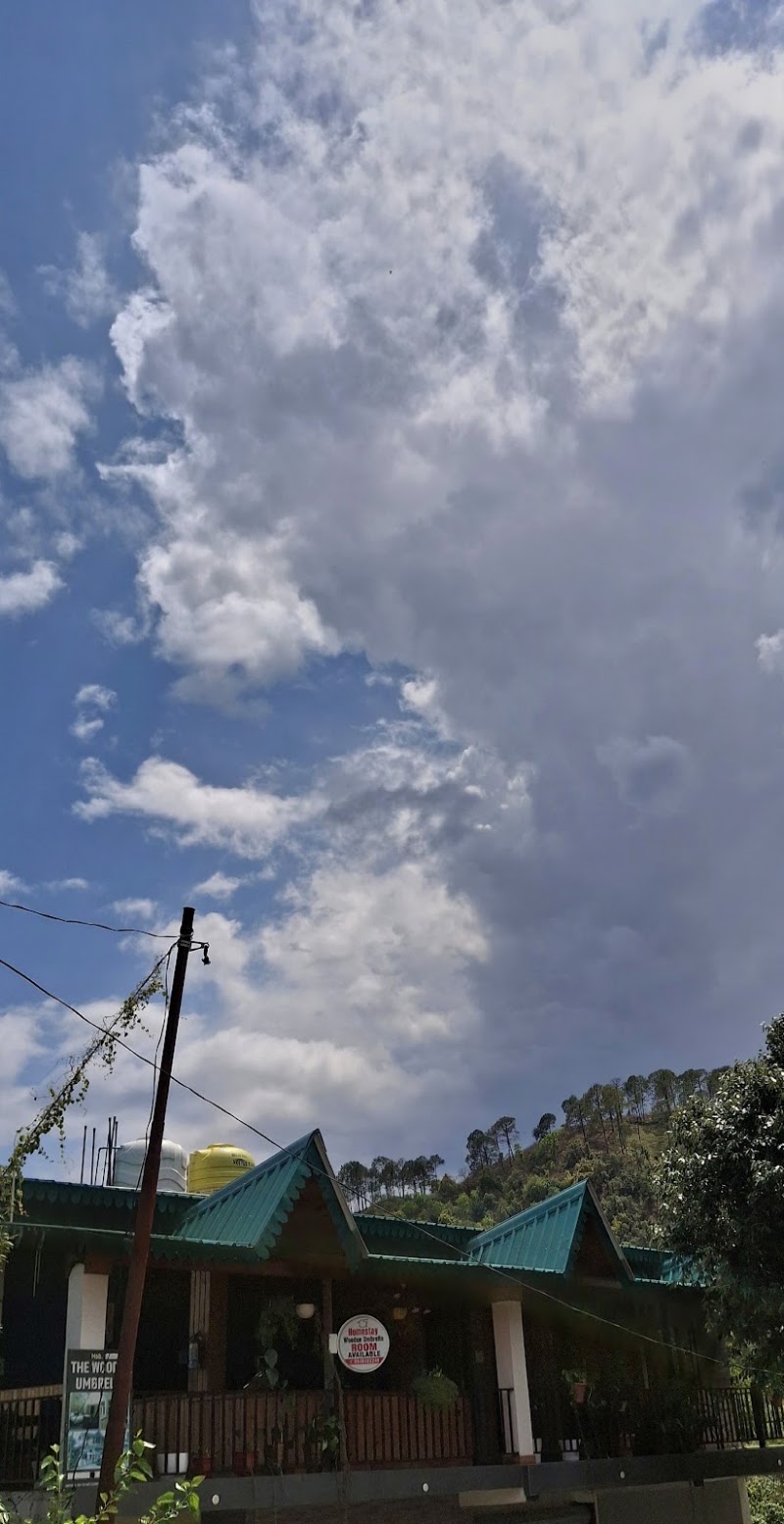 The Wooden Umbrella - The Wooden Umbrella, Ward no.6, 9G5V+V9M, Plot no.115, Bhowali Range, Bhimtal, Uttarakhand 263136, India