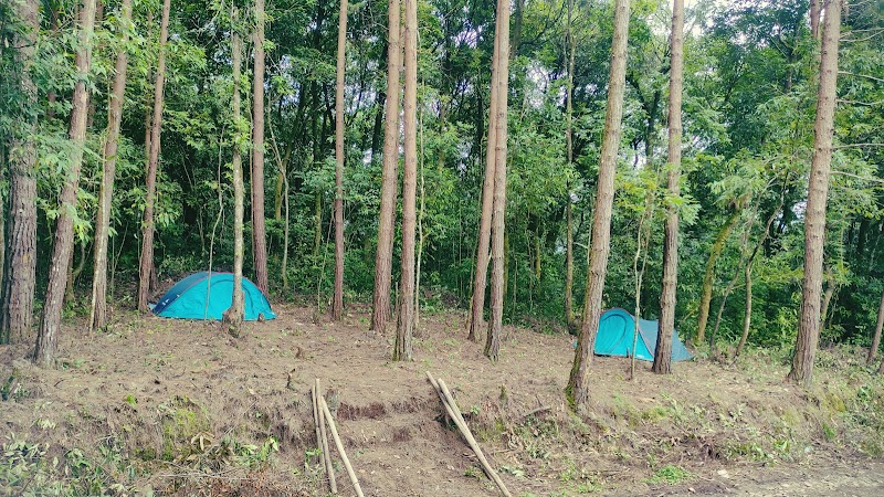 Dzükou Camp Site - Viswema - Dzükou Camp Site - Viswema Kepizu, 1Km From Highway, Viswema - Dzükou Vly Rd, Viswema, Nagaland 797006, India
