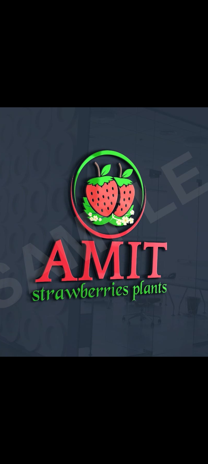 Amit strawberry plants - Amit strawberry plants Village, Plau p/o, Kathli Bharan, Rajgarh, Himachal Pradesh 173101, India