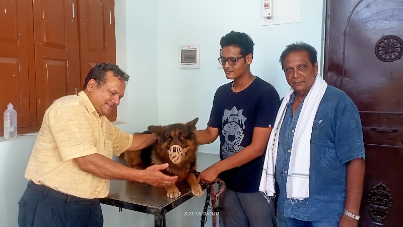 SN Pet Clinic - SN Pet Clinic, Ward No. 18, Ambedkar chowk, Sailashree Vihar, Bargarh, Dang, Odisha 768038, India