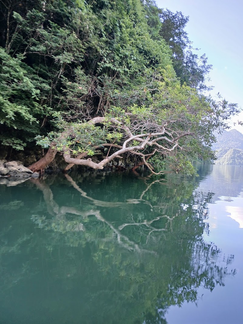 Ba Be Lake - Ba Be Lake Ba Be Lake, Ba Be, Thai Nguyen, Vietnam