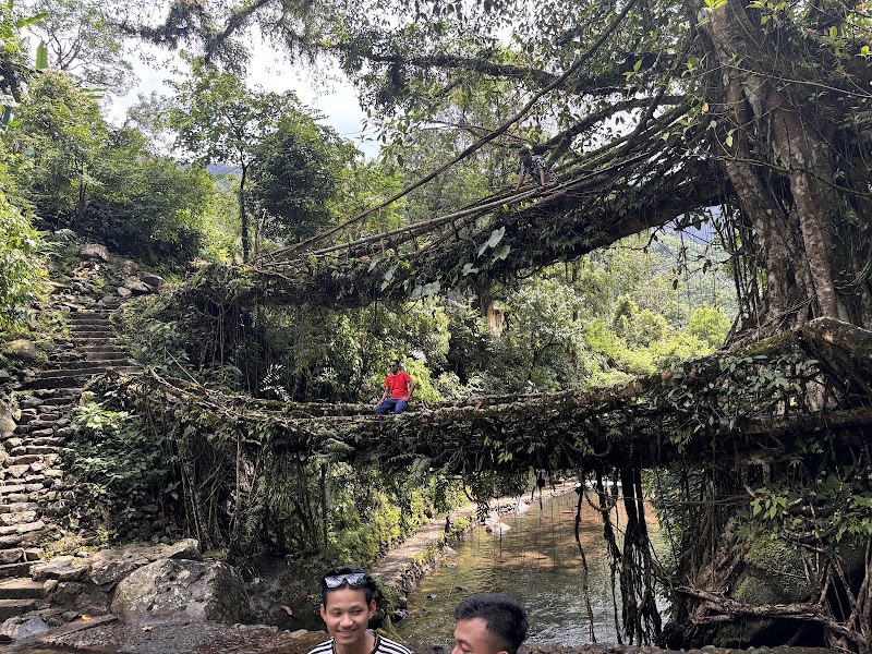 Living root bridge - Living root bridge 62HJ+5HP, Unnamed Road, Mawlynnong, Meghalaya 793161, India