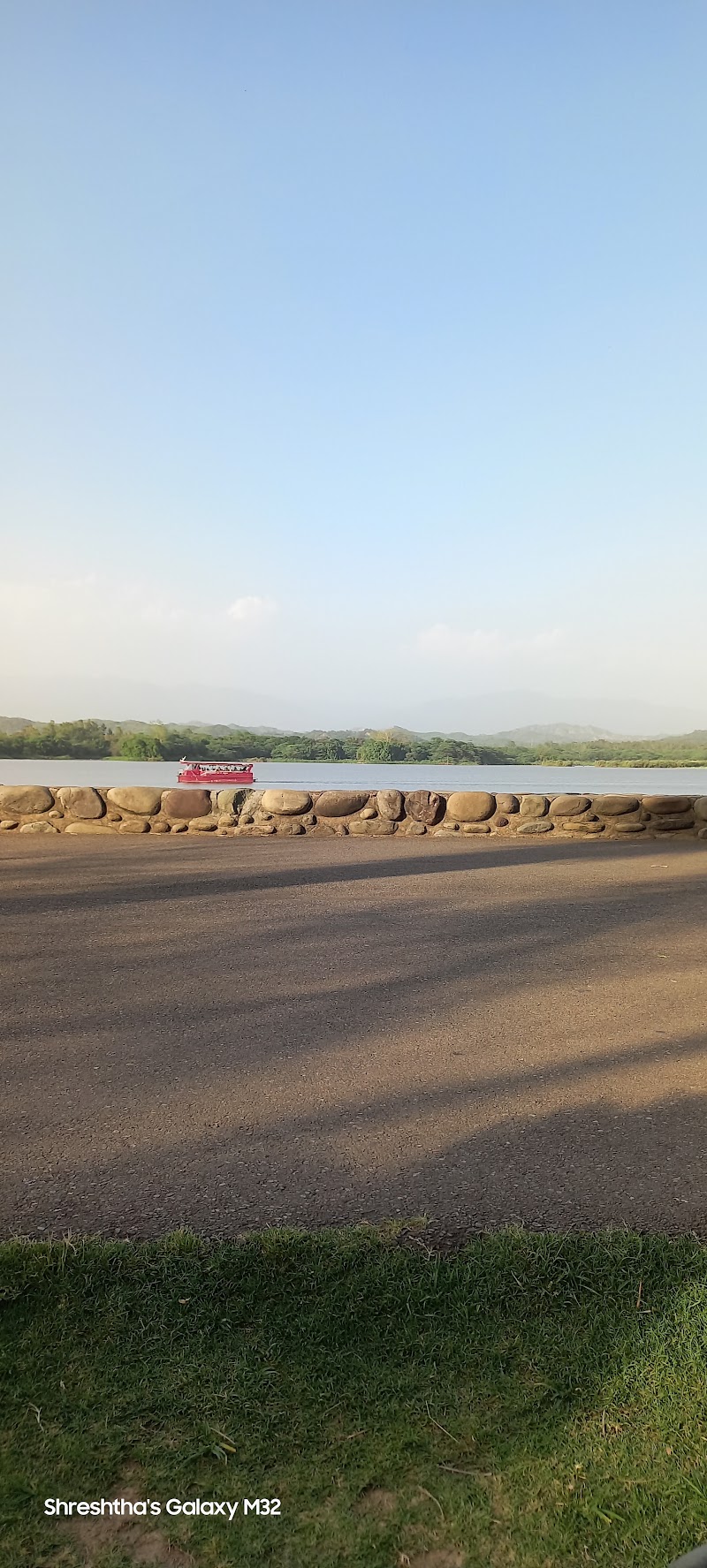 Bird watching area - Bird watching area 6084, Modern Housing Complex, Sector 13, Chandigarh, 160001, India