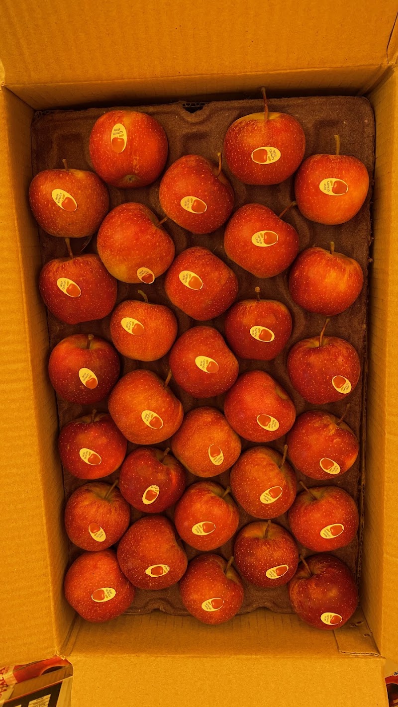 Sen apple Orchards - Sen apple Orchards, Ghrahar, Panarsa, Himachal Pradesh 175121, India