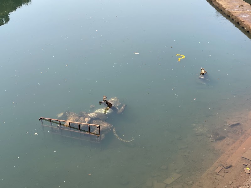 Sangameshwar Temple - Sangameshwar Temple 64MX+5M2, Sanguem Rd, Sanguem, Goa 403704, India