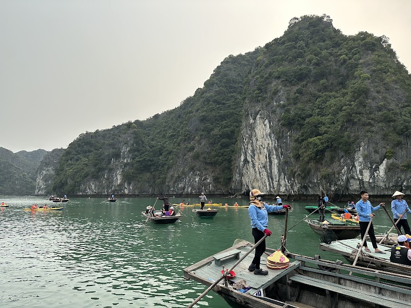 Stellar of the Seas - Stellar of the Seas No 24, Tuần Châu, Marina, Quảng Ninh 100000, Vietnam