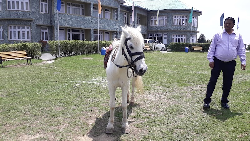 Delo Park - Delo Park, 3GQ3+M83, Deolo, Homes St.And Graihms, Kalimpong, West Bengal 734316, India