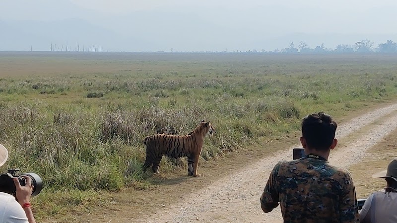 corbett jungle safari advisor - corbett jungle safari advisor telipura road, Jassaganja, Ramnagar, Shivlalpur Khazanchi, Uttarakhand 244715, India