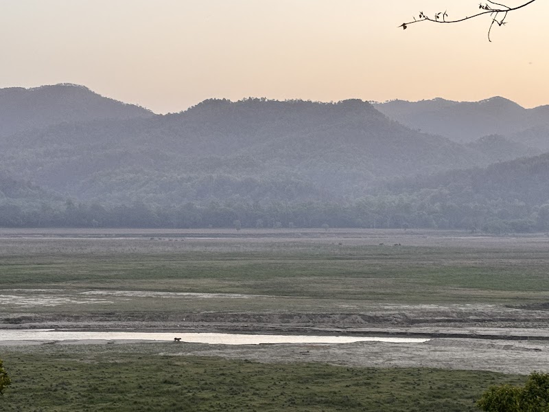 Dhikala Forest Rest House - Dhikala Forest Rest House Ram Nagar, Shivlalpur Pandey, Ramnagar, Uttarakhand 246142, India