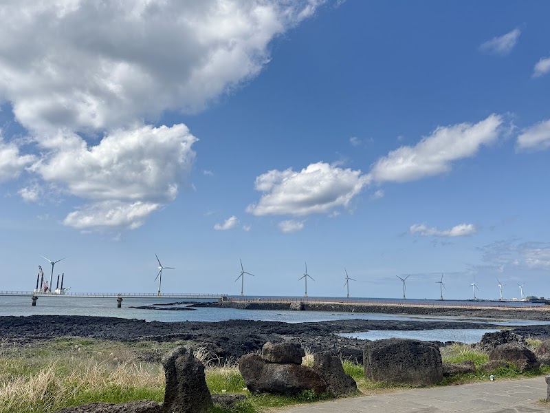 Sinchang Windmill Coastal Road - Sinchang Windmill Coastal Road, 1323 Sinchang-ri, Hangyeong-myeon, Cheju, Jeju-do, South Korea