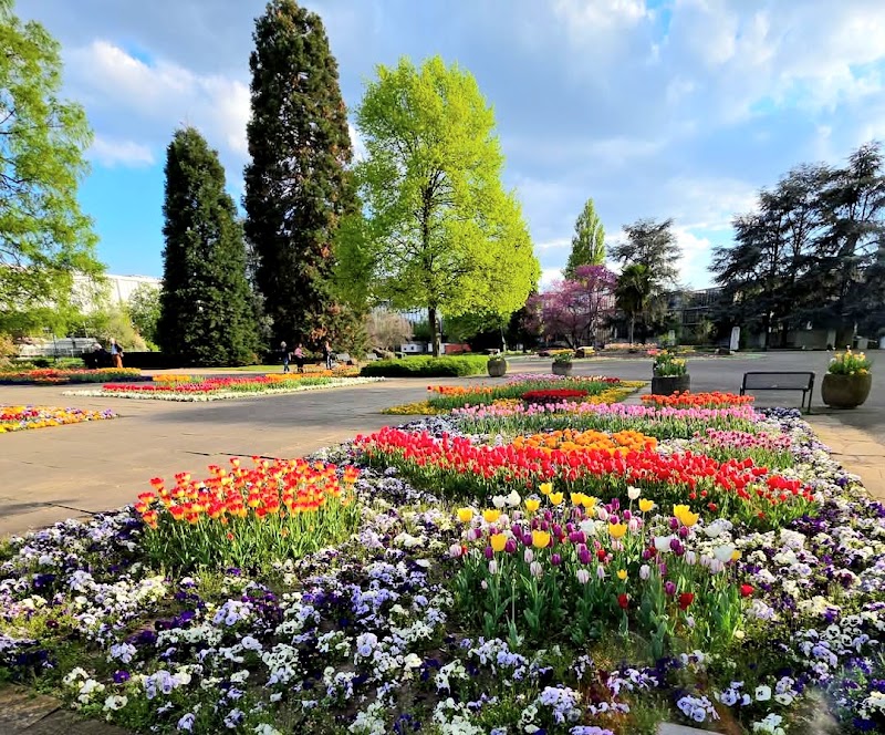 Rheinpark - Rheinpark, Auenweg Rheinpark, 50679 Köln, Germany