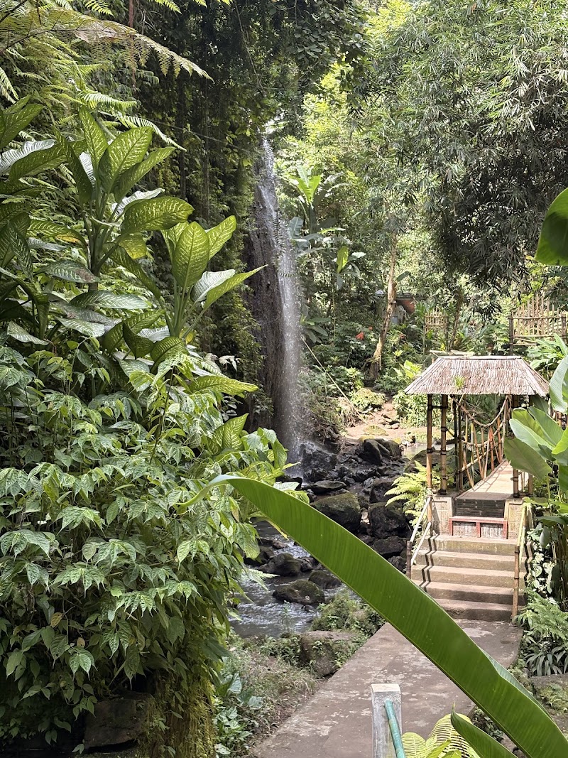 Tibumana Waterfall - Tibumana Waterfall Jl. Setra Agung, Apuan, Kec. Susut, Kabupaten Bangli, Bali 80661, Indonesia