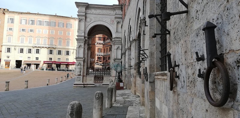 Il Campo - Il Campo, 53100 Siena SI, Italy