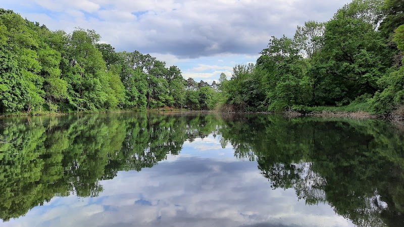 Vinoř Nature Reserve - Vinoř Nature Reserve, 190 15 Satalice, Czechia