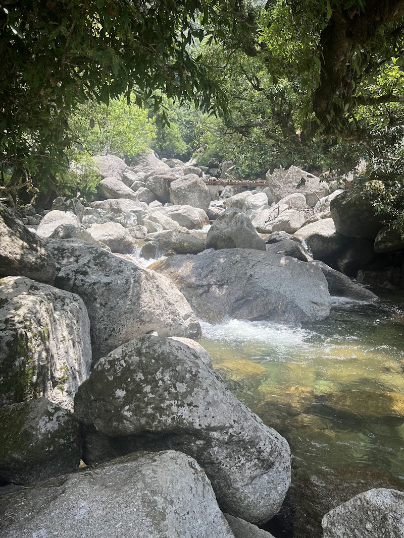 Kareri Lake Trek - Kareri Lake Trek, Kareri, Himachal Pradesh 176216, India