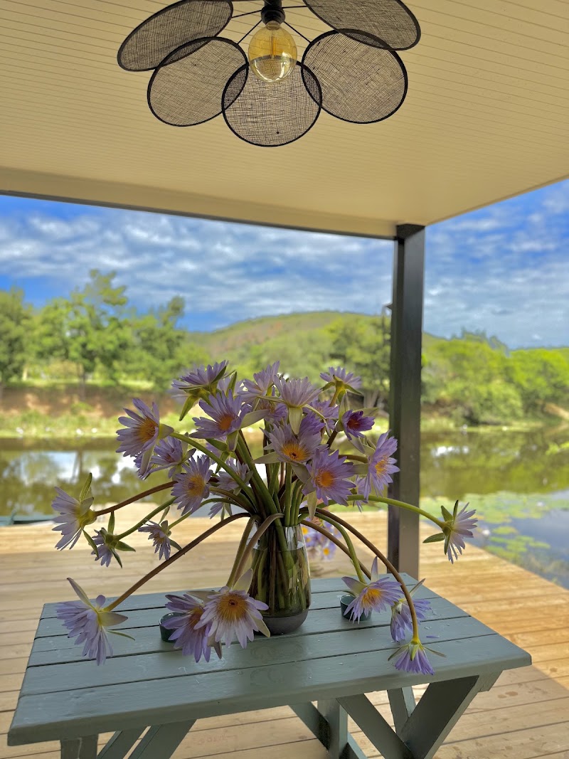 Lands End Private Game Reserve - Lands End Private Game Reserve, Vaalvlei Road, Makhanda, 6140, South Africa