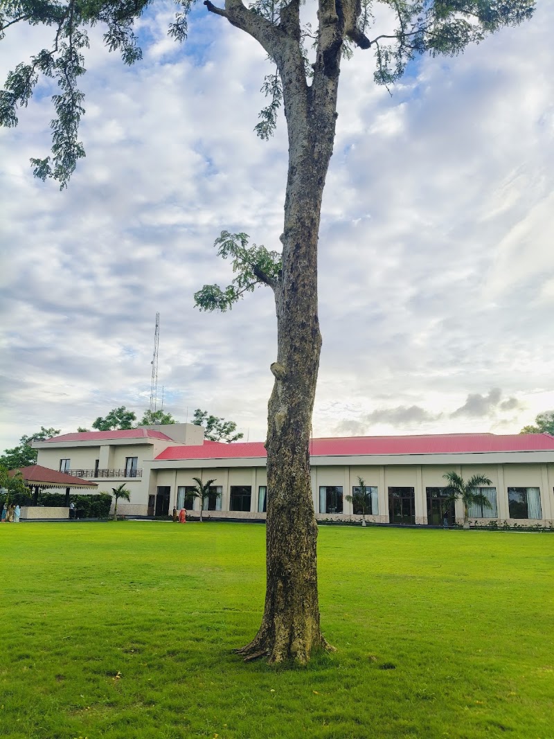 Manohari Tea Estate - Manohari Tea Estate, Nogaghuli 1/177 Orr, Assam 786012, India