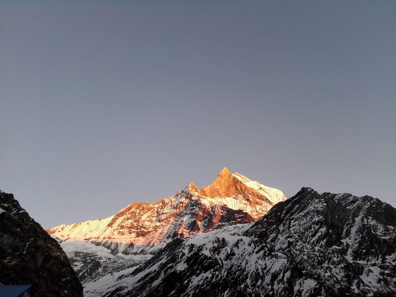 Machhapuchhare Base Camp - Machhapuchhare Base Camp GWG4+PXQ, Ghandruk 33700, Nepal