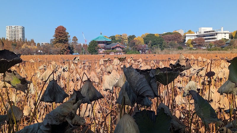 Shinobazuno Pond - Shinobazuno Pond Shinobazuno Pond, 2 Uenokoen, Taito City, Tokyo 110-0007, Japan