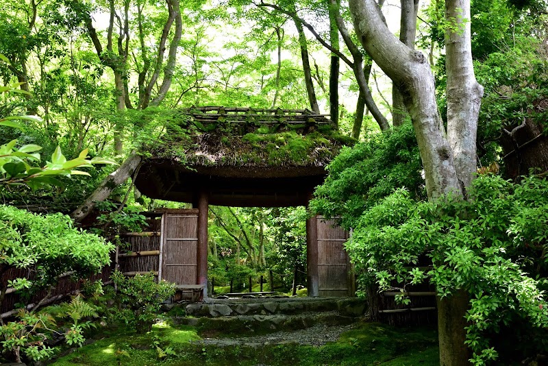 Giōji Temple - Giōji Temple 32 Sagatoriimoto Kozakachō, Ukyo Ward, Kyoto, 616-8435, Japan