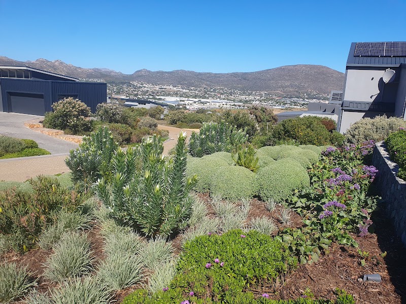 Chapman's Bay Estate - Chapman's Bay Estate, Noordhoek, Cape Town, 7979, South Africa