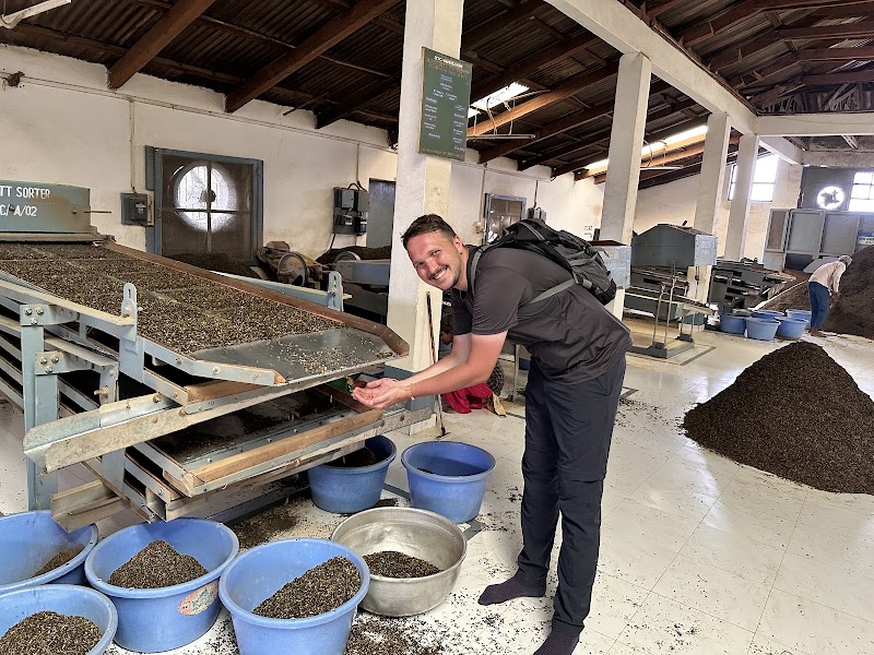 Maan Tea Factory - Maan Tea Factory, 6855+CMX, MDR44, Dharamshala, Himachal Pradesh 176217, India
