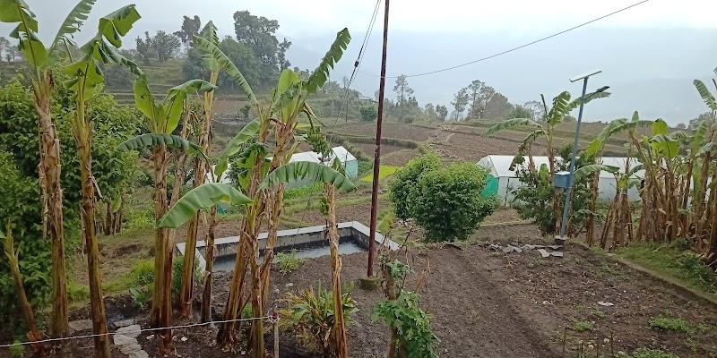 Bhramari Home Stay ,Him Natural - Bhramari Home Stay ,Him Natural, WJJW+RGR bangla, Charson, Tilsari, Uttarakhand 263641, India