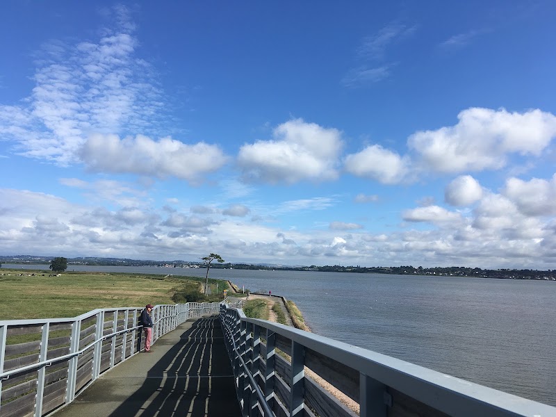 River Exe - River Exe, United Kingdom