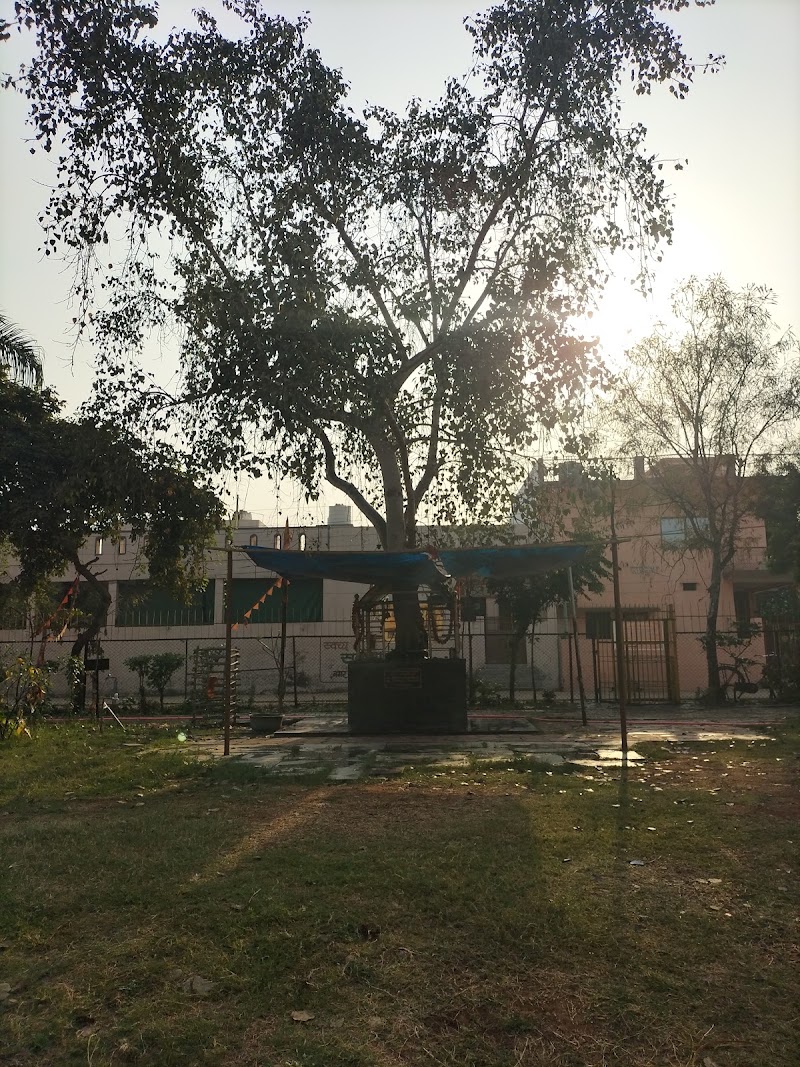 Bal Udyan - Bal Udyan, 68FQ+RC8, Kohka, Bajarang Para, Bhilai, Chhattisgarh 490023, India