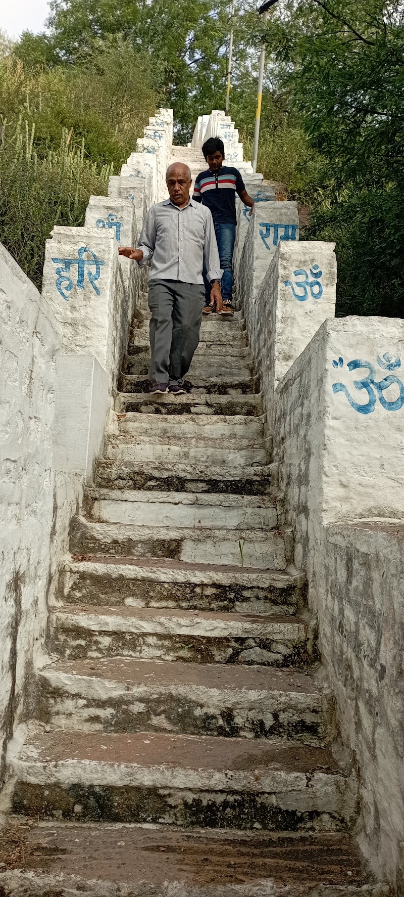 Green Wall - Green Wall 72Q3+WX9, Indira Colony, Pratap Nagar, Jodhpur, Rajasthan 342003, India
