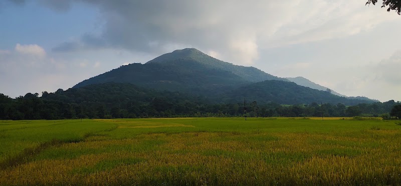 Araku Valley - Araku Valley, Andhra Pradesh 531151, India