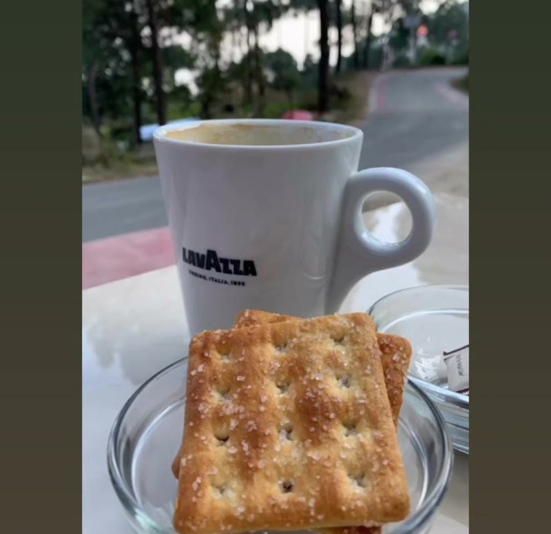 Dochi - Village Pizzeria & Coffee House - Kasauli - Dochi - Village Pizzeria & Coffee House - Kasauli 500 meters before Glenview hotel, Pizzeria & coffee house, Two shops, Dochi, Kasauli, Himachal Pradesh 173204, India